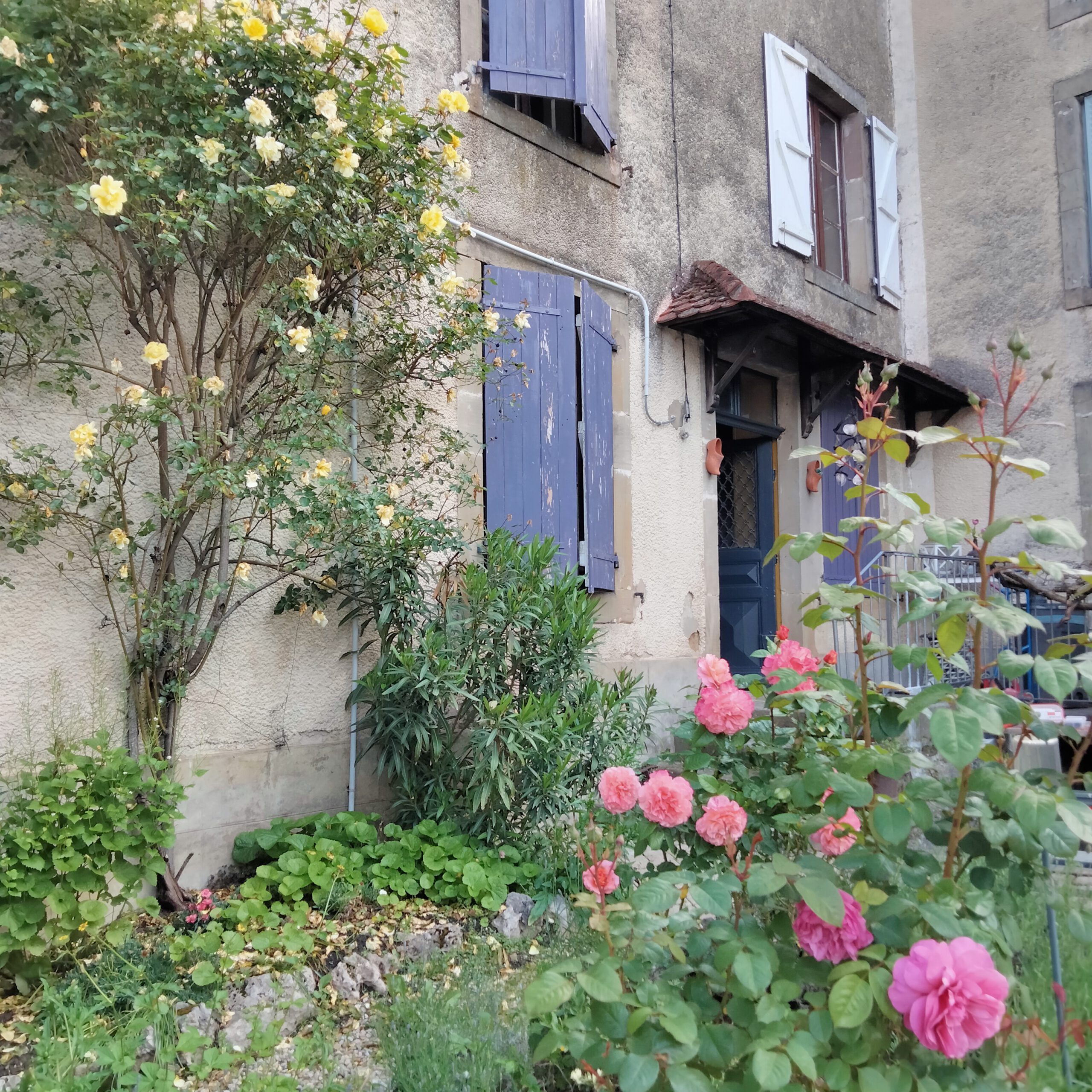 Gîte La belle rose